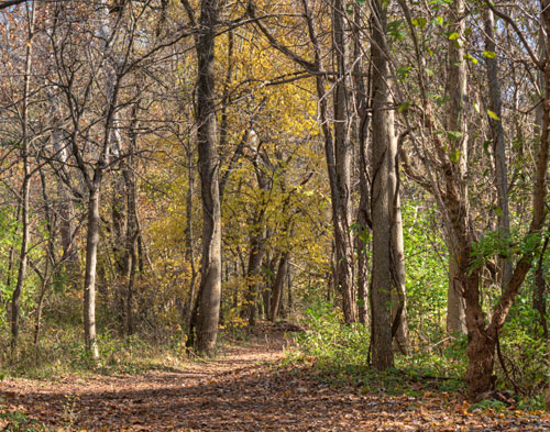 Fall_Creek_7523_4_5Enhancer