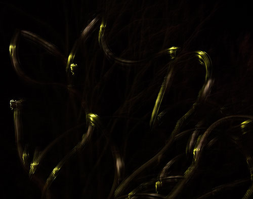 night_8957 night_8957