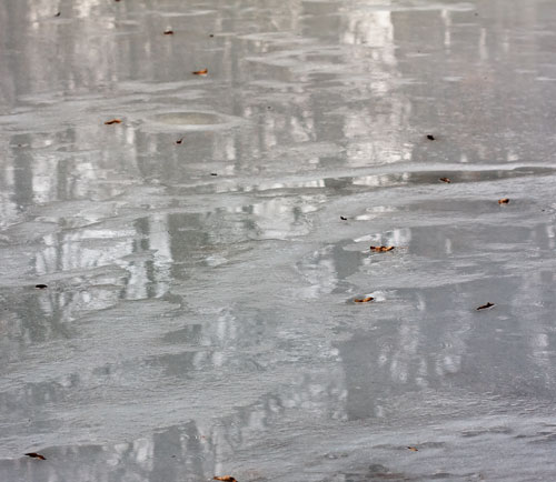 ice_reflection_2925