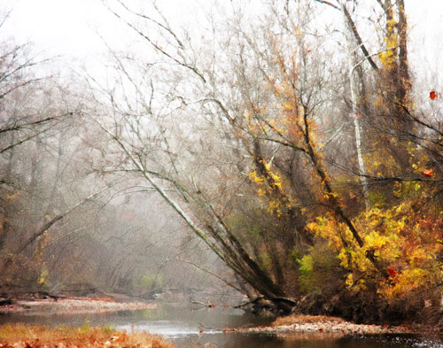 Fall_Creek_0751_DWC_none