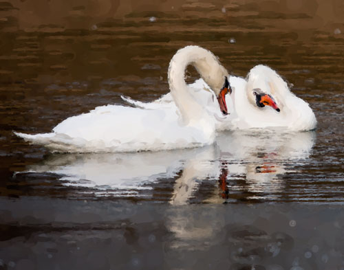 swans_2384_lg_Painting_DWC_None