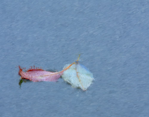 two_leaves_7181_Impressionist_none