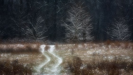 path_1086_blur_highpass-Edit