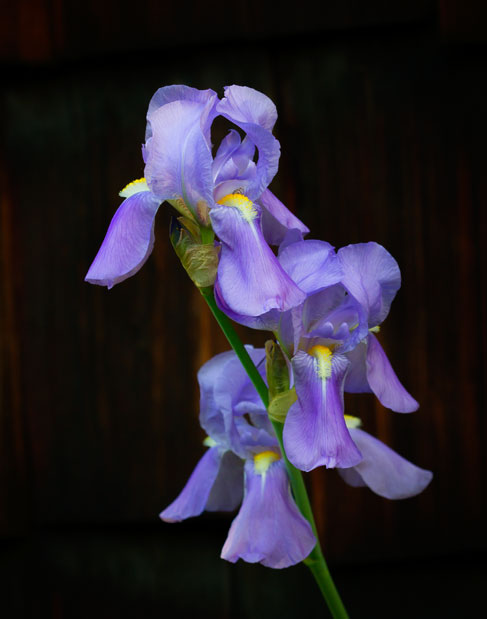 untitled-6877-Edit-Edit-Edit