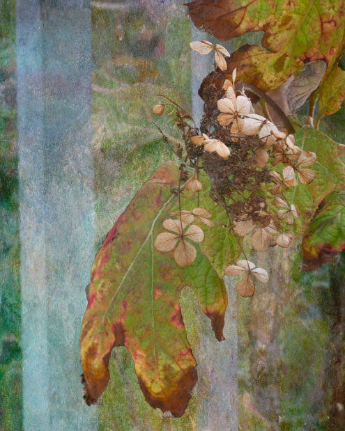 Canal_3352-as-Smart-Object-1