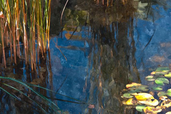 FotoSketcher---Pond_7369_CI-64