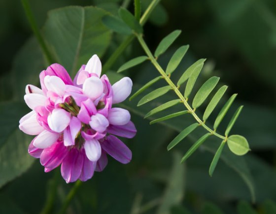 Shawnee-trip-13-7926