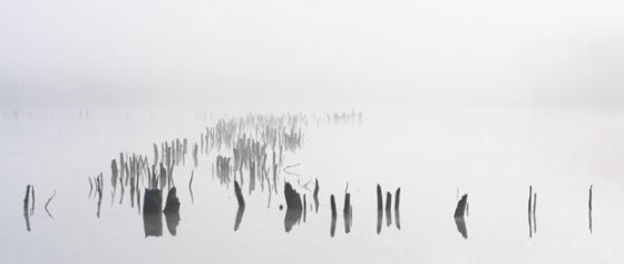 Muscatatuck_1153_2_8X10