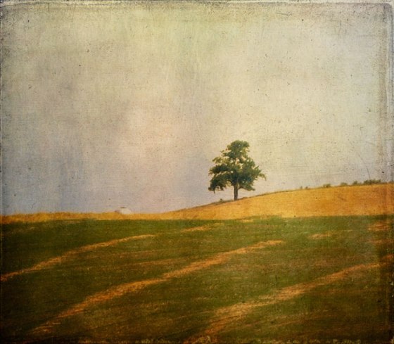 Shawnee-trip-13-0593