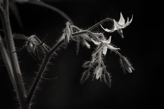 untitled-8337-Edit-2