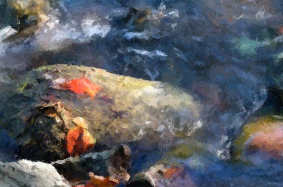 FotoSketcher---White_River_0954-56-emerge-def