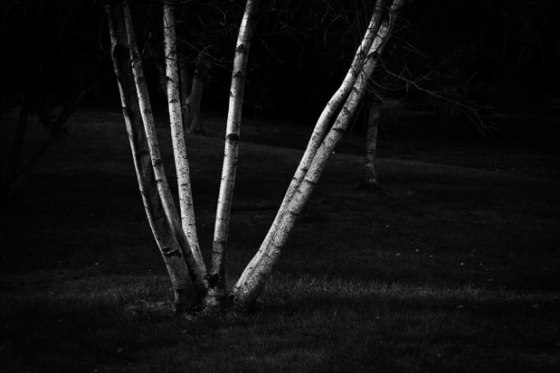 untitled-9213-Edit-Edit