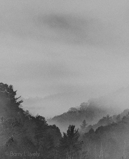 RRG_3185_6_7_PMP_fusadj-Edit