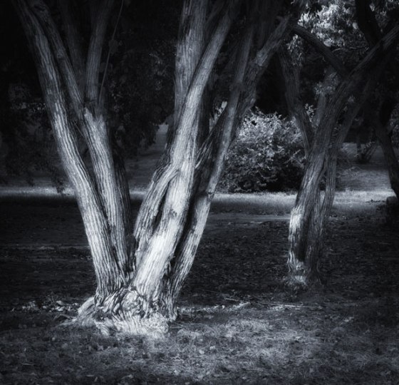 untitled-9206-Edit-Edit