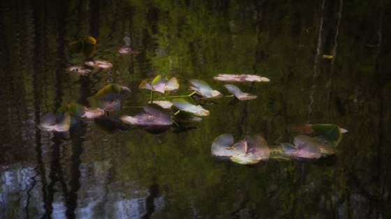 Wawasee-Trip-6437-Edit-Edit