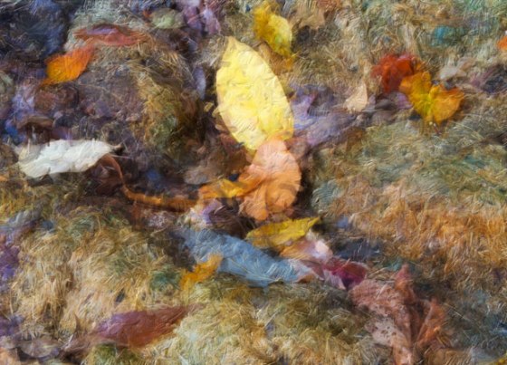 Around-home-0747_oil_1