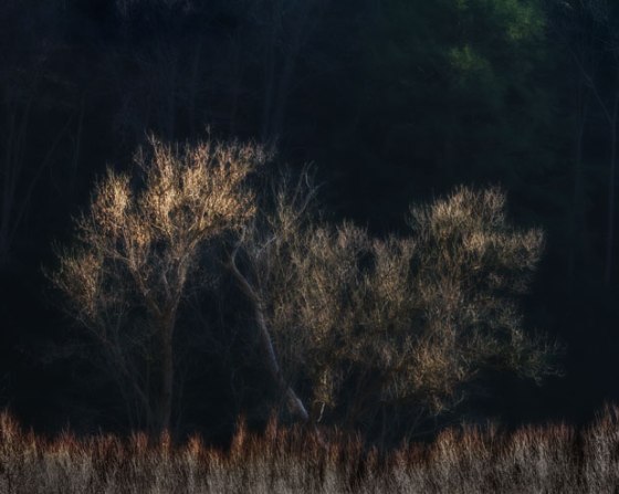 Hocking_Hills_12-3799-Edit-2