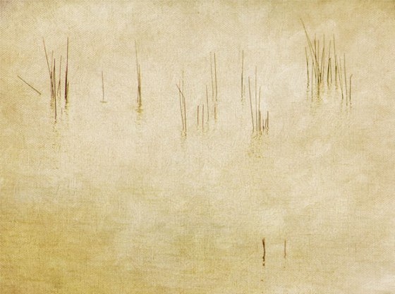 Rod-Planck-13-0565-Edit