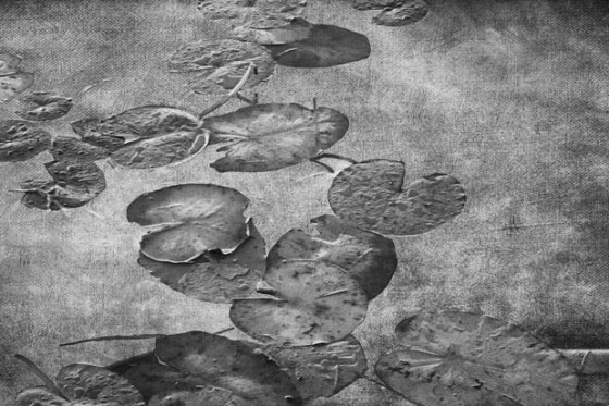 Rod-Planck-13-0743-Edit-Edit