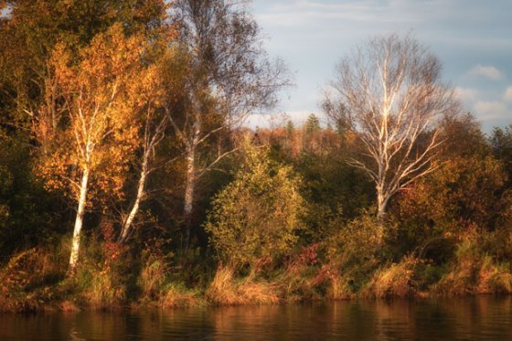 Rod-Planck-13-0660-Edit-Edit