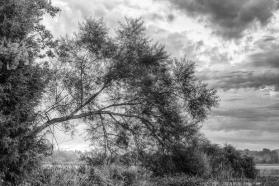 untitled-9280_1_2_enhanced-Edit