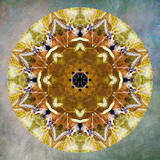 Willow_Pond_Retreat_4690