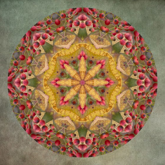 Ben_and_Lauren_Weding_9726-16