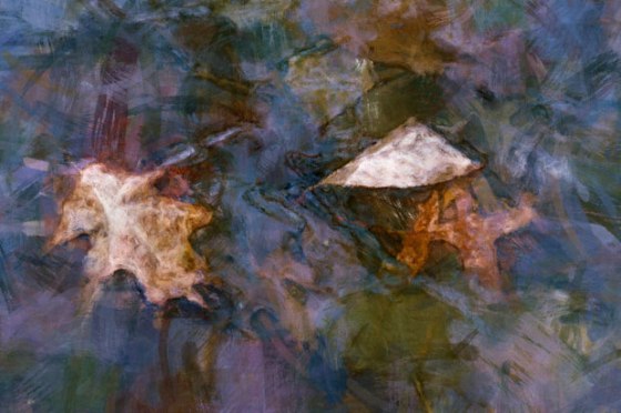 ice_6567_8_9_PMP_fusadj