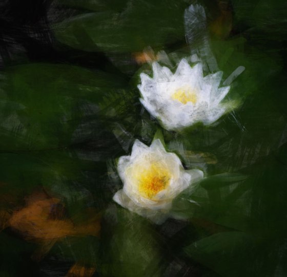 untitled-7361-Edit