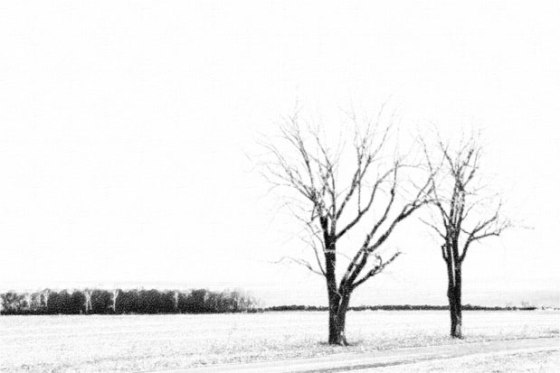 FotoSketcher---field_5337-PS2-7-68-30-127-Text5