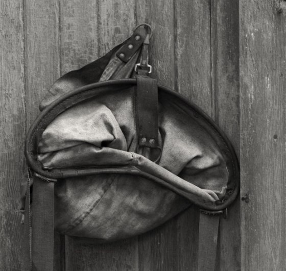 Rod-Planck-13-0084-Edit