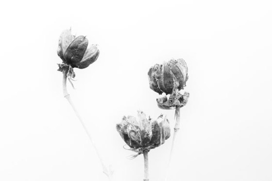 untitled-5287-Edit-Edit