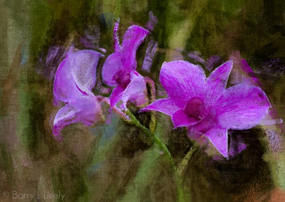 Garfield-Park-2014-1027