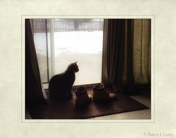 untitled-0294-Edit-Edit-copy