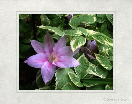 untitled-0511-Edit-Edit-copy