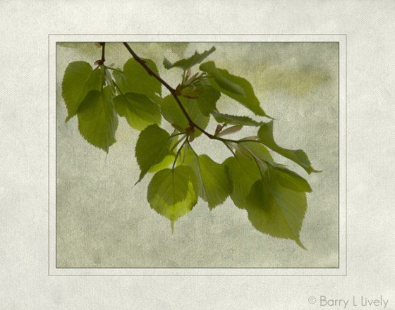 Wawasee-trip-6175-Edit-copy