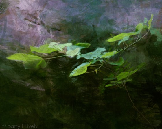 Eagle_Creek-2756