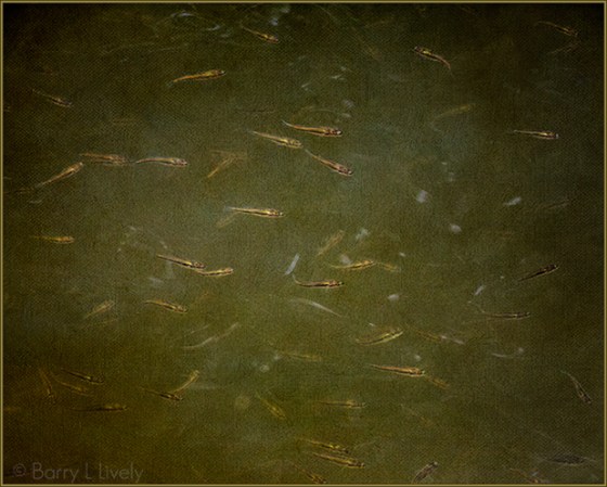 Eagle_Creek-2823-Edit