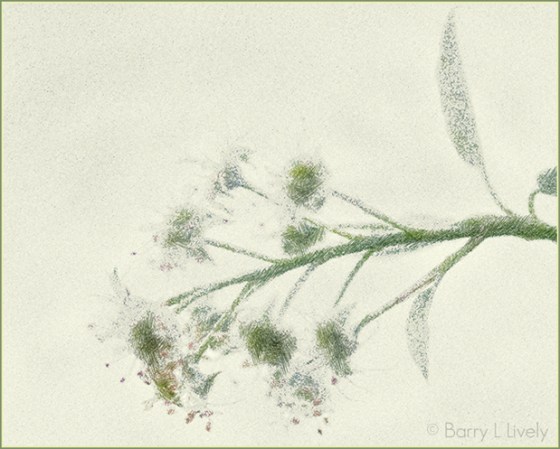 FotoSketcher---EagleCreek_7852-2-n24_OPSdef_FP0