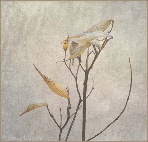 Rod-Planck-13-0573-Edit_2