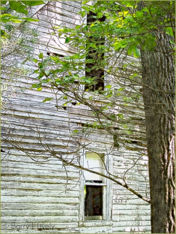 Southern-Indiana-8251