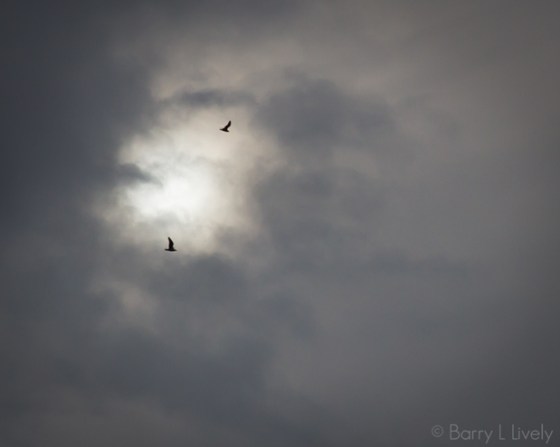 Lake-Michigan-14-3083