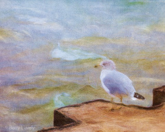 Rod-Planck-13-0026-Edit_CPE_OP