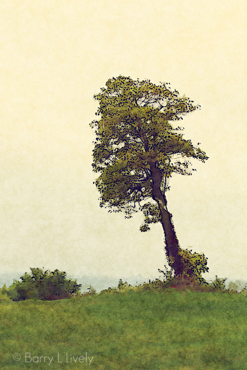 Rod-Planck-13-9970-Edit