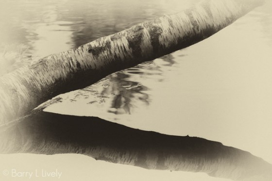 untitled-1809-Edit-Edit-Edit