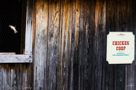 untitled-3148-Edit-Edit