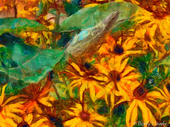 untitled-0932_DAP_Gogh2HD