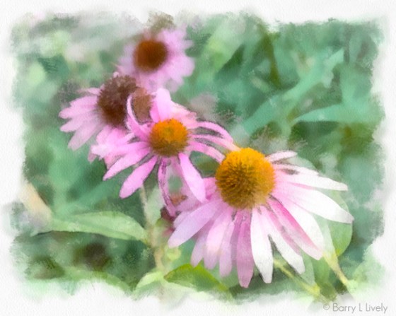 untitled-3283-Edit_DAP_Aquarell