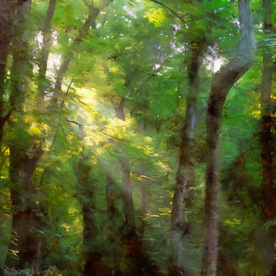 untitled-9389_DAP_Portraitist4