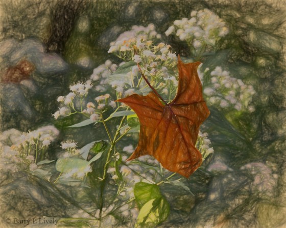 untitled-shoot-3956_CD3